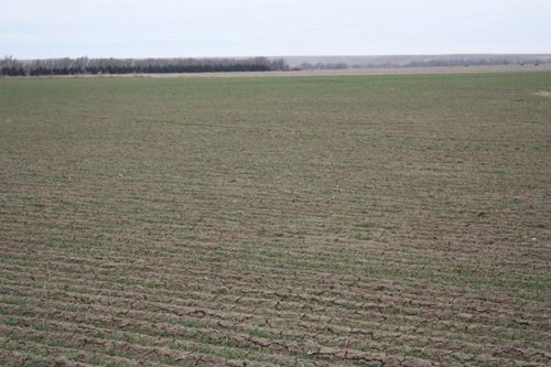Property photo 22 - Kansas Land Auction - 960 Acres - 7 Farms in 3 Counties